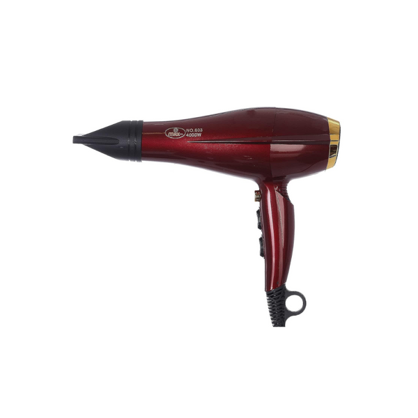 Max Hair Dryer MA-803